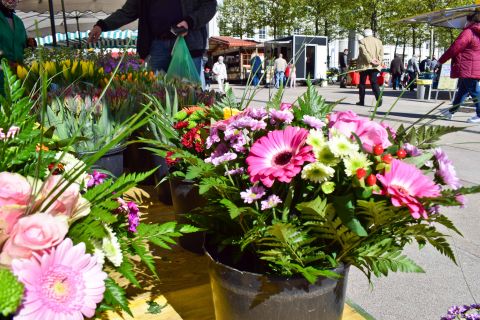 Wochenmarkt Lüdenscheid Blumen